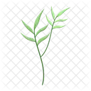 Weeds Herbs Nature Icon