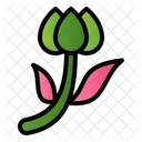 Weeping Fig Nature Plant Icon