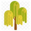 Weeping Willow Tree Weeping Icon