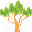 Weeping Willow Foliage Icon