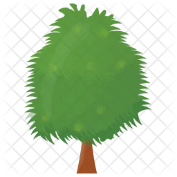 Weeping Willow Tree  Icon