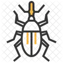 Weevil Insect Bug Icon