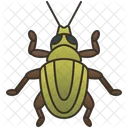 Weevil  Icon