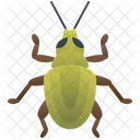 Weevil  Icon