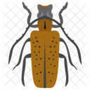 바구미 딱정벌레 곤충 풍뎅이 딱정벌레 아이콘
