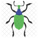 Weevil Beetle Insect Scarab Beetle Icon