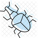 Weevil Cicada Insect Icon
