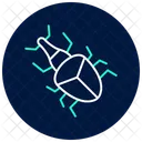 Weevil Insect Beetle Icon