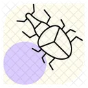 Weevil Insect Beetle Icon
