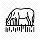 Weide Pferd Zucht Symbol