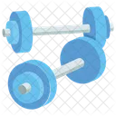 Weightlifting Weights Weight Icon