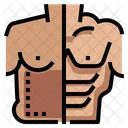 Weight Loss Liposuction Six Pack Icon