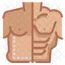 Weight Loss Liposuction Six Pack Icon