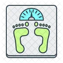 Healthy Weight Health Weight Icon