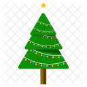 Weihnachtsbaum Immergruner Baum Nadelbaum Symbol