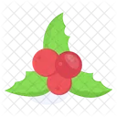 Weihnachten Beeren Heilig Icon