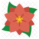 Weihnachtsstern Symbol