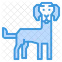 Weimaraner Dog  Icon
