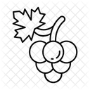  Symbol