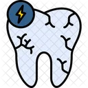 Wellness Tooth Dental Icon