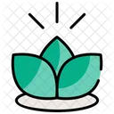 Wellness Healthy Health Icon