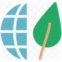 Welt Oko Bildung Symbol