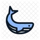 Whale Humpback Mammal Icon