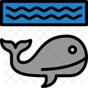 Whale Marine Mammal Ocean 아이콘