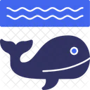 Whale Marine Mammal Ocean Icon