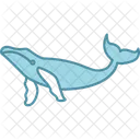 Whale Icon