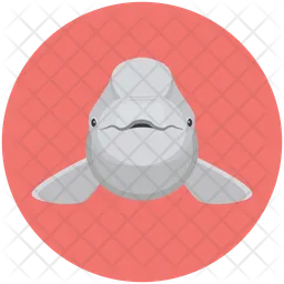 Whale  Icon