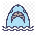 Shark Whale Fish Icon
