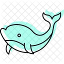 Whale Ocean Marine Icon