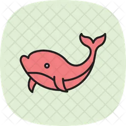 Whale  Icon