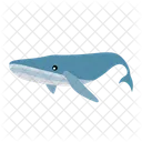 Whale Fish Sea Icon