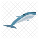 Whale Fish Sea Icon