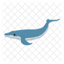 Whale Fish Sea Icon
