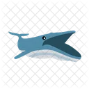 Whale Fish Sea Icon