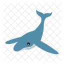 Whale Fish Sea Icon