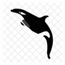 Orca Whale Killer Whale Ocean Icon