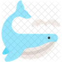 Whale Mammal Giant Icon