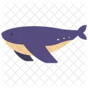 Whale Animal Sea Icon