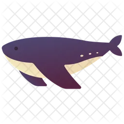 Whale  Icon