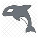 Whale Orca Animal Icon