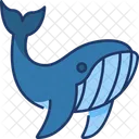 Whale Animal Fish Icon