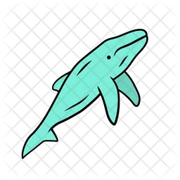 Whale  Icon