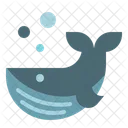 Whale  Icon