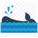 Whale Sea Water Icon