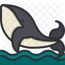 Whale  Icon