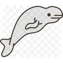 Whale Beluga Mammal Icon